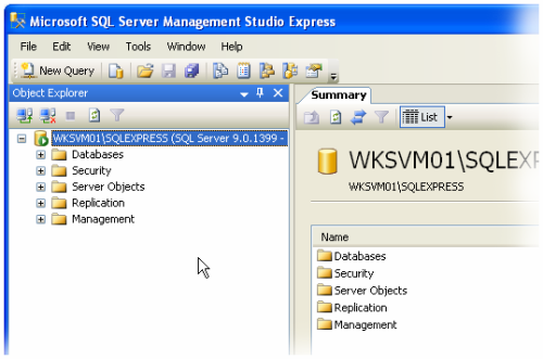 Access und die SQL Server 2005 Express Edition - Access im Unternehmen