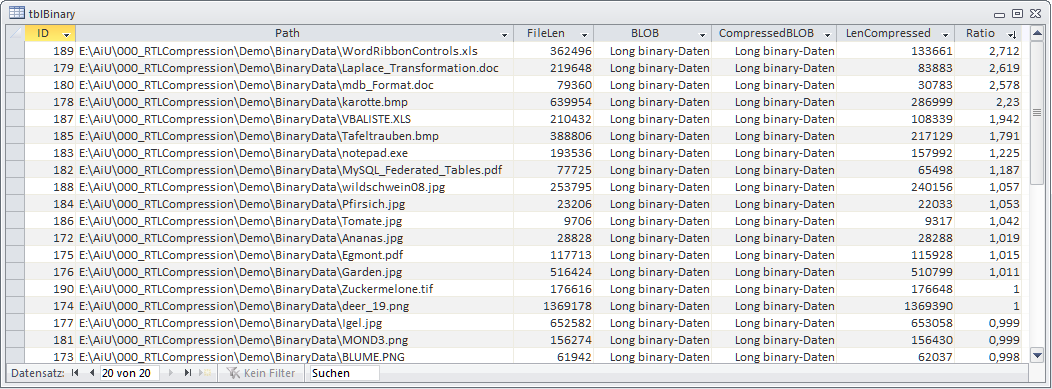 Die Datenblattansicht der Tabelle tblBinary zeigt den Ursprung der Dateien neben zusätzlichen Angaben zur Kompression