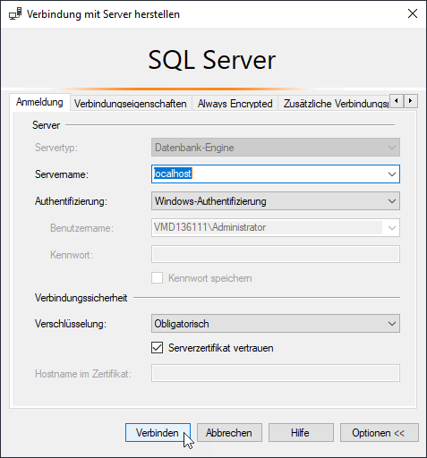 Der Anmeldedialog für den SQL Server