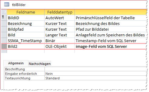 Das image-Feld erscheint in Access als OLE-Objekt