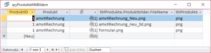 Die Felder eines Anlagefeldes in der Datenblattansicht