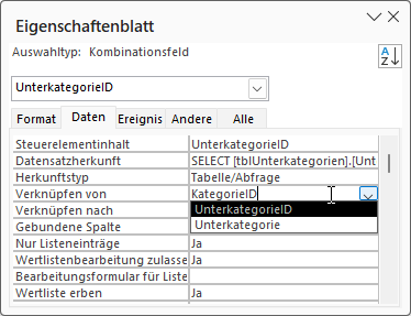Das Feld KategorieID wird nicht zur Auswahl angeboten.
